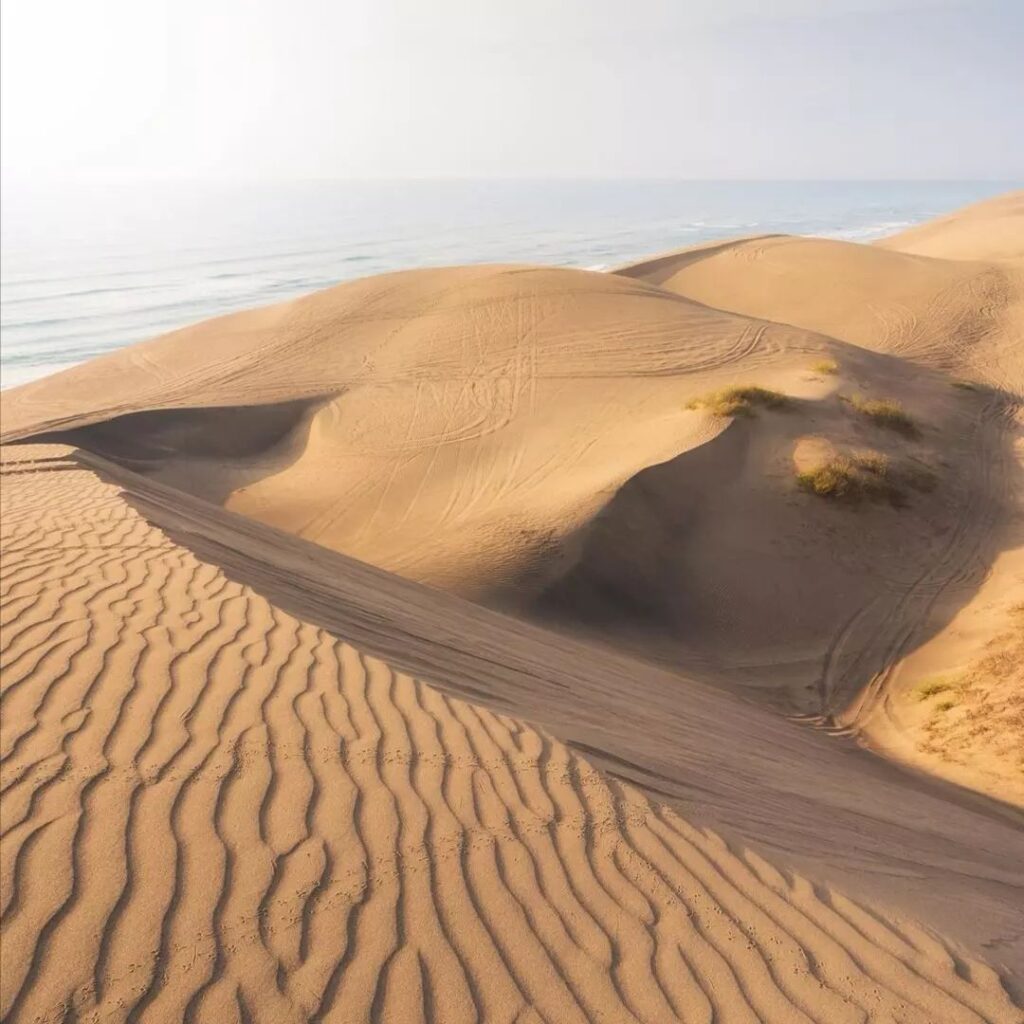 DUNAS DE CHACHALACAS n