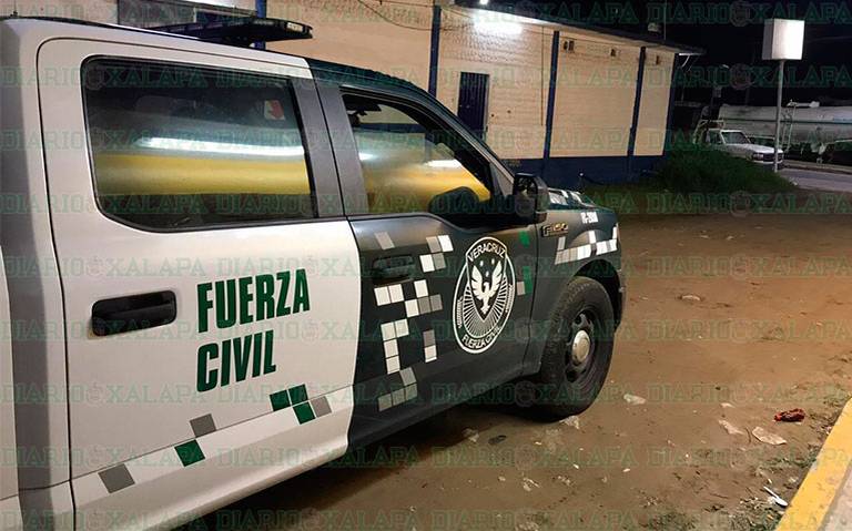 Fuerza civil