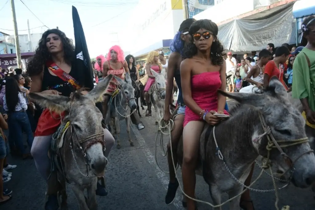 ENCIERRO DE BURROS2