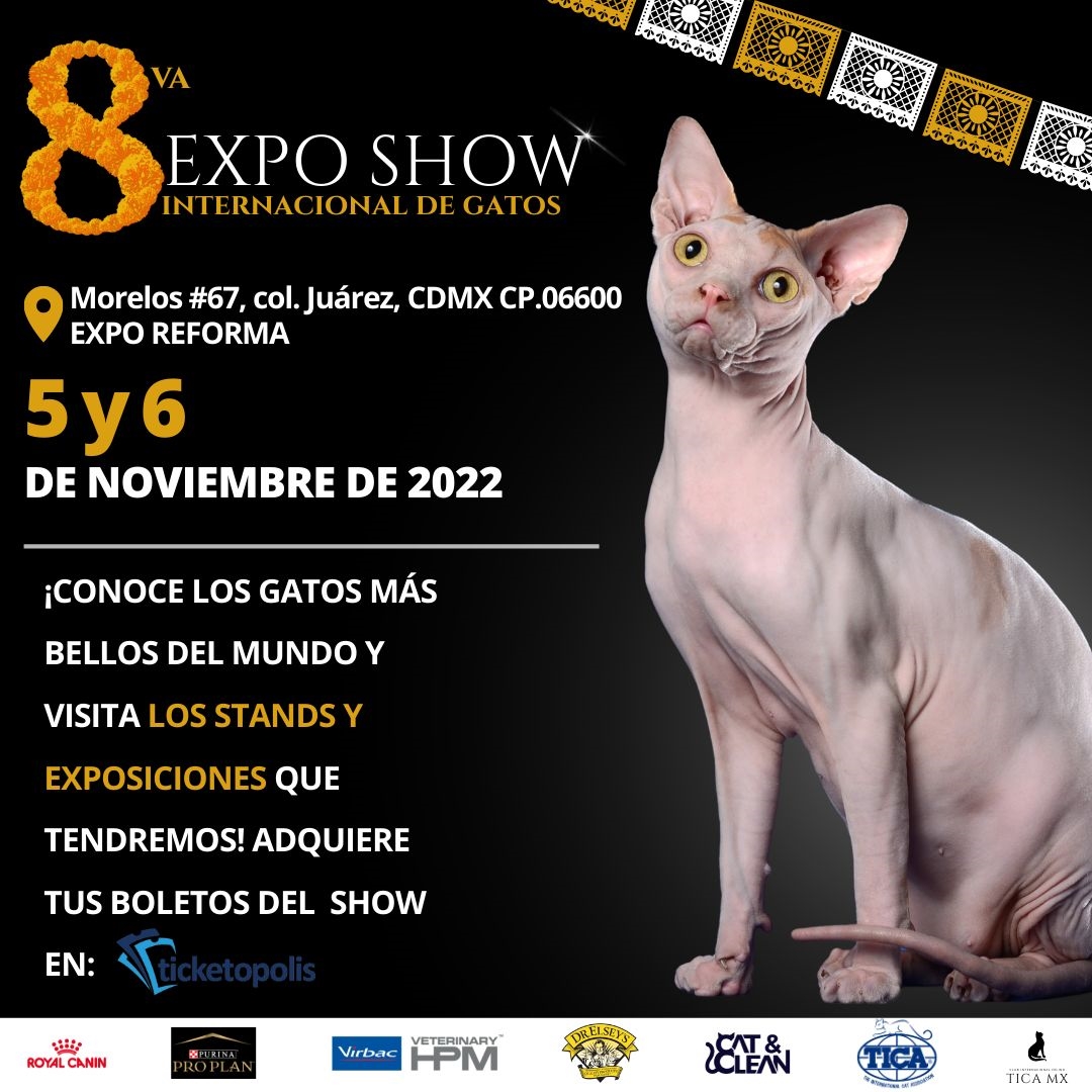 Expo Show Internacional de Gatos