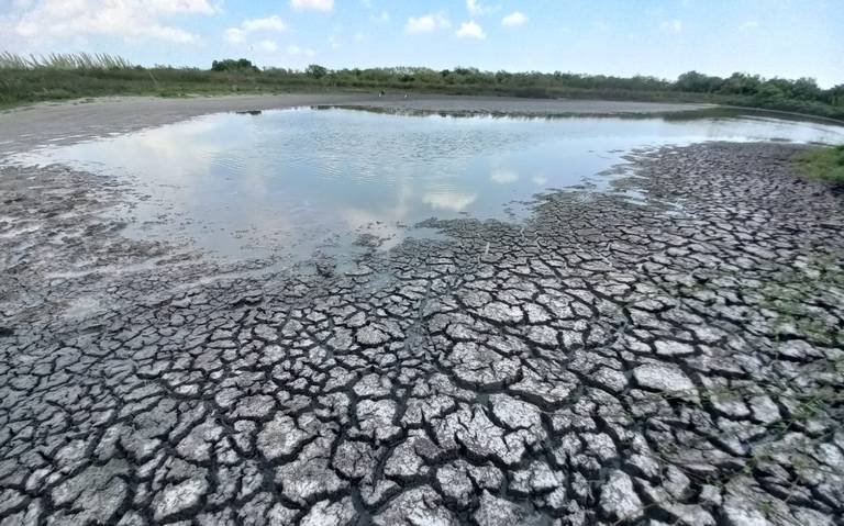 Sequia acaba con presas de Tamaulipas