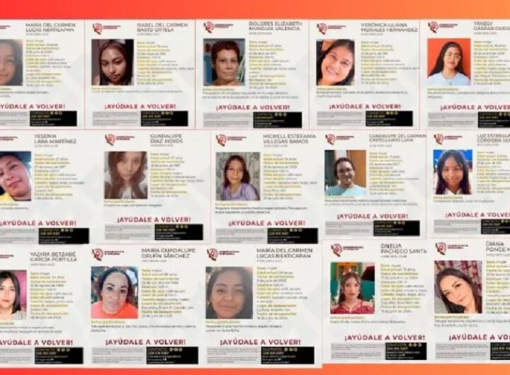 Desde principios de año, el Observatorio Ciudadano Nacional del Feminicidio (OCNF) hizo un llamado para que se decrete la declaratoria de Alerta de Violencia de Género contra las Mujeres en el estado de Veracruz, ante el incremento en las desapariciones de mujeres y niñas en la entidad.
