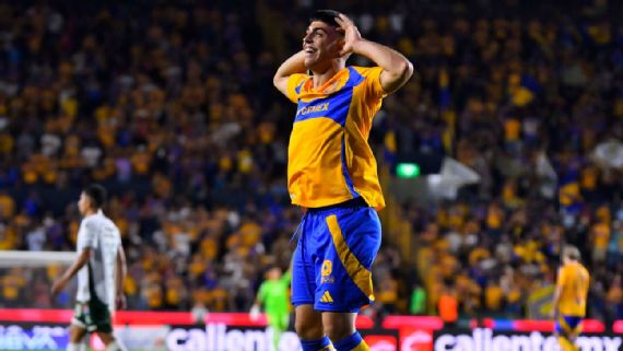 TIGRES