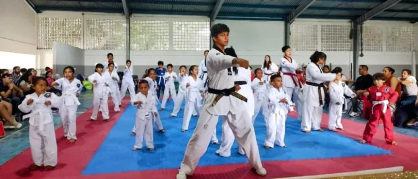 taekwondo formativo 1