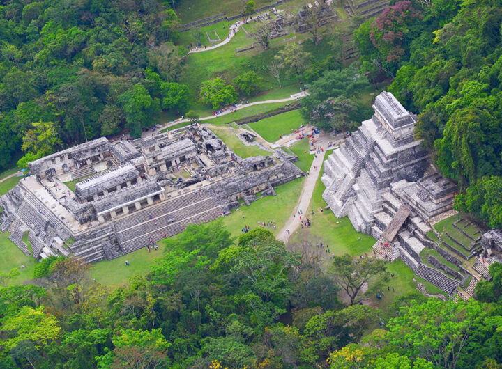 Chiapas Palenque web