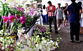 Museo de la Orquidea Dr. Isaias Contreras Juarez