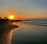 images 2 3 195x180 jpeg