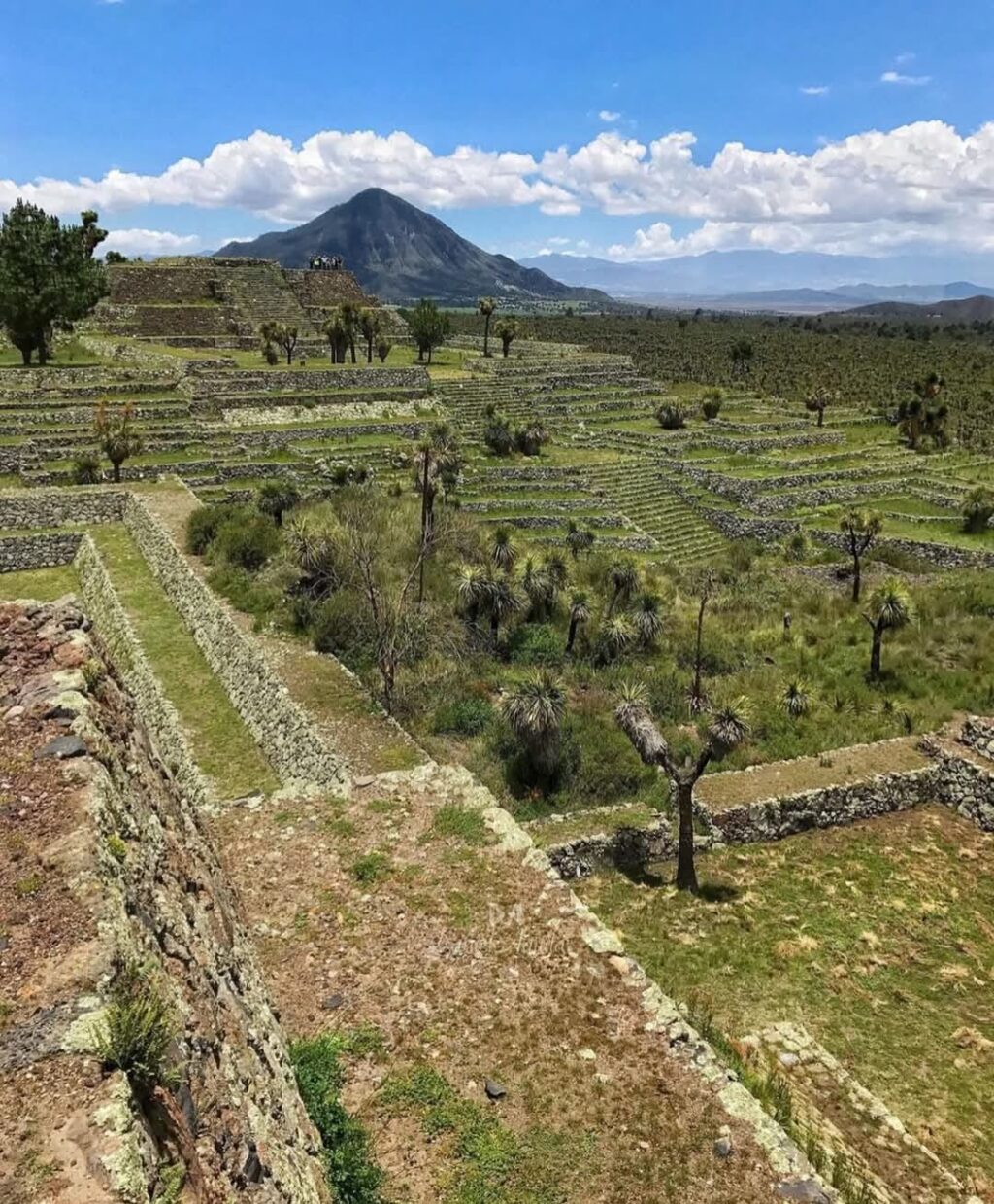 Ni Cholula, ni Teotihuacan, ni Chichen Itzá, es la zona arqueológica más grande de México!! CANTONA n