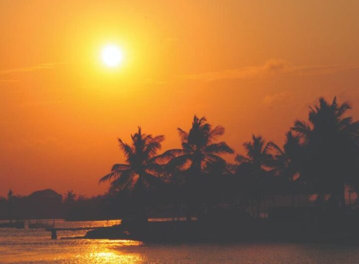 Tuxpan historia y naturaleza 1 1140x544 1