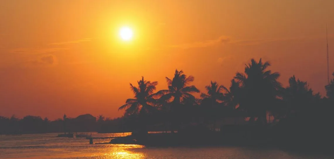 Tuxpan historia y naturaleza 1 1140x544 1 jpeg