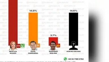 Según encuestas telefónicas hoy los boqueños votarían por Bertha Rosalía Ahued Malpica encuesta 1 edited