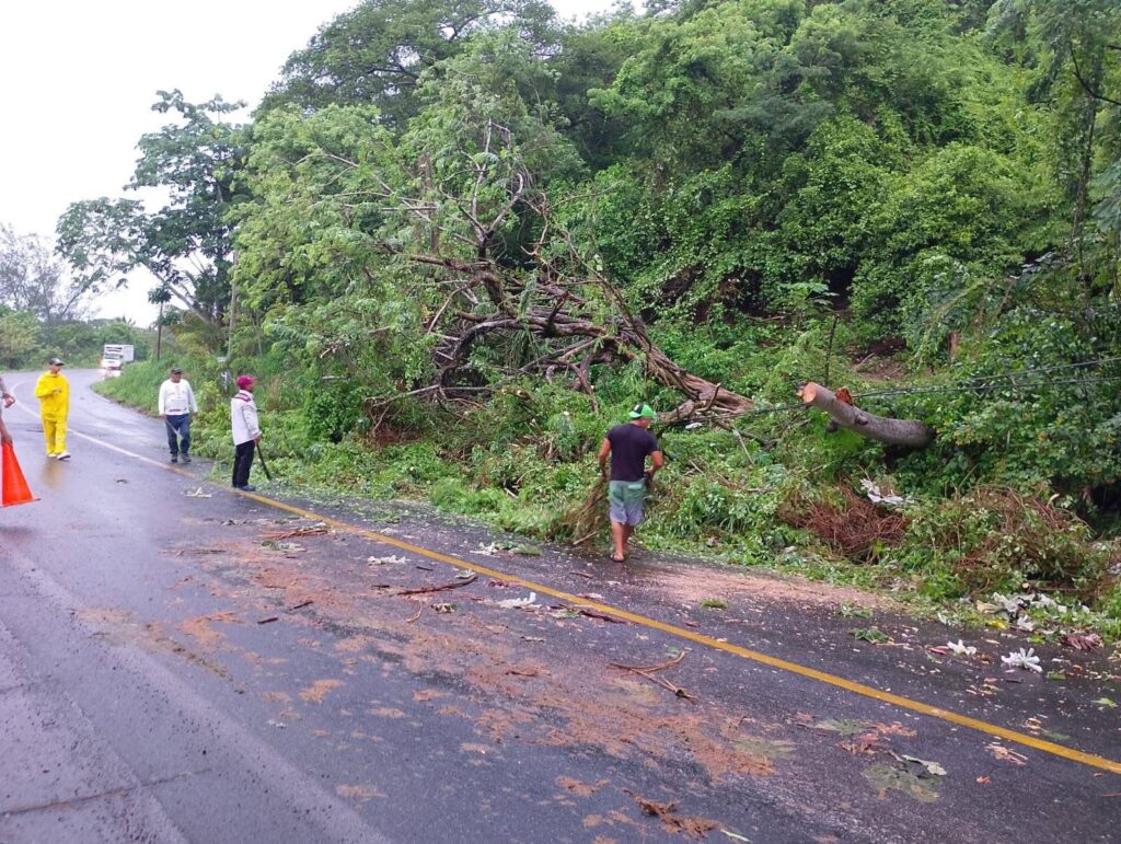 Lluvias intensas provocan apagones e inundaciones en Alvarado IMG 20250618 WA0001