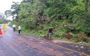 IMG-20250618-WA0001