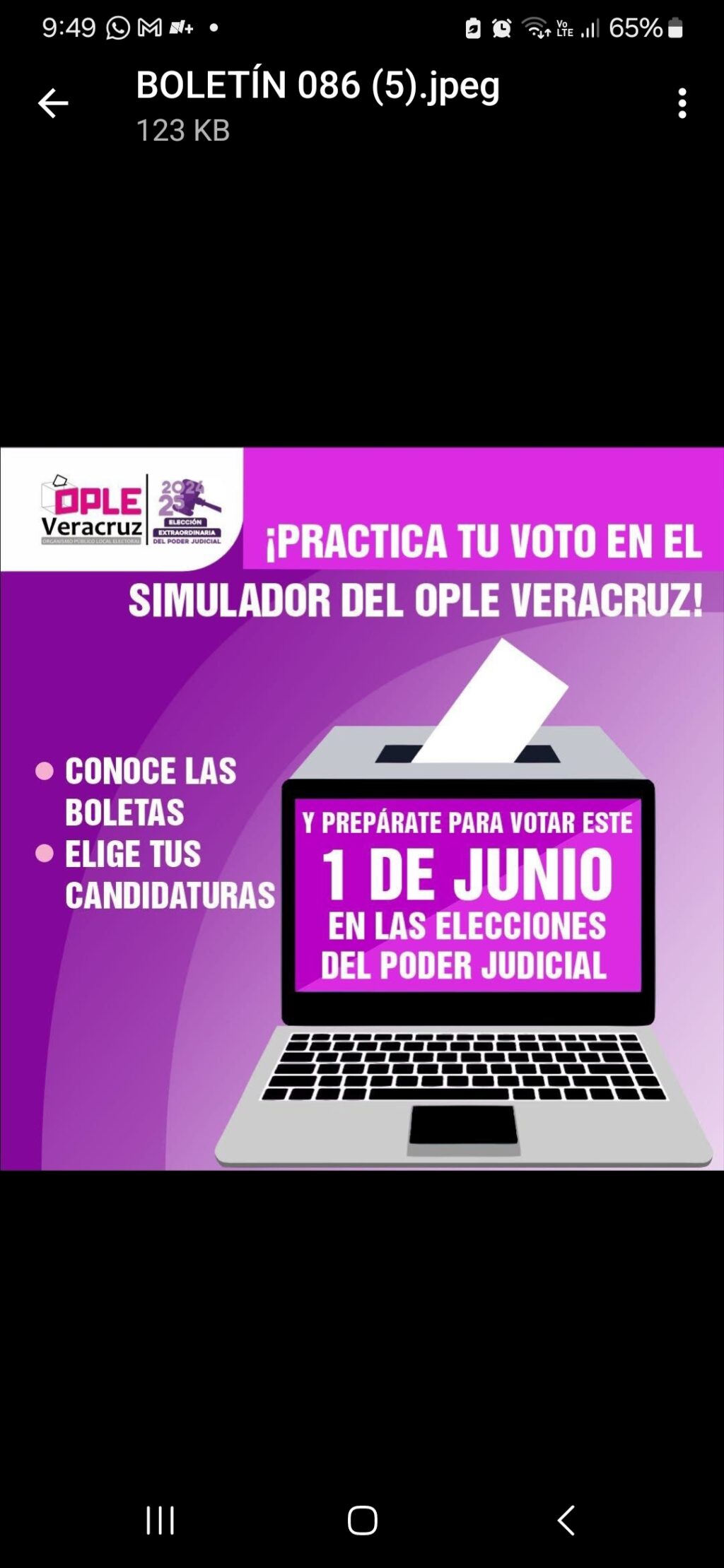 OPLE Veracruz te invita a conocer sus herramientas para emitir un voto informado y razonado Screenshot 20250601 094933 Gmail