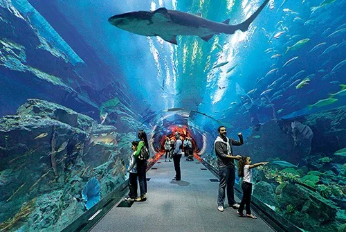 acuarium de veracruz jpeg