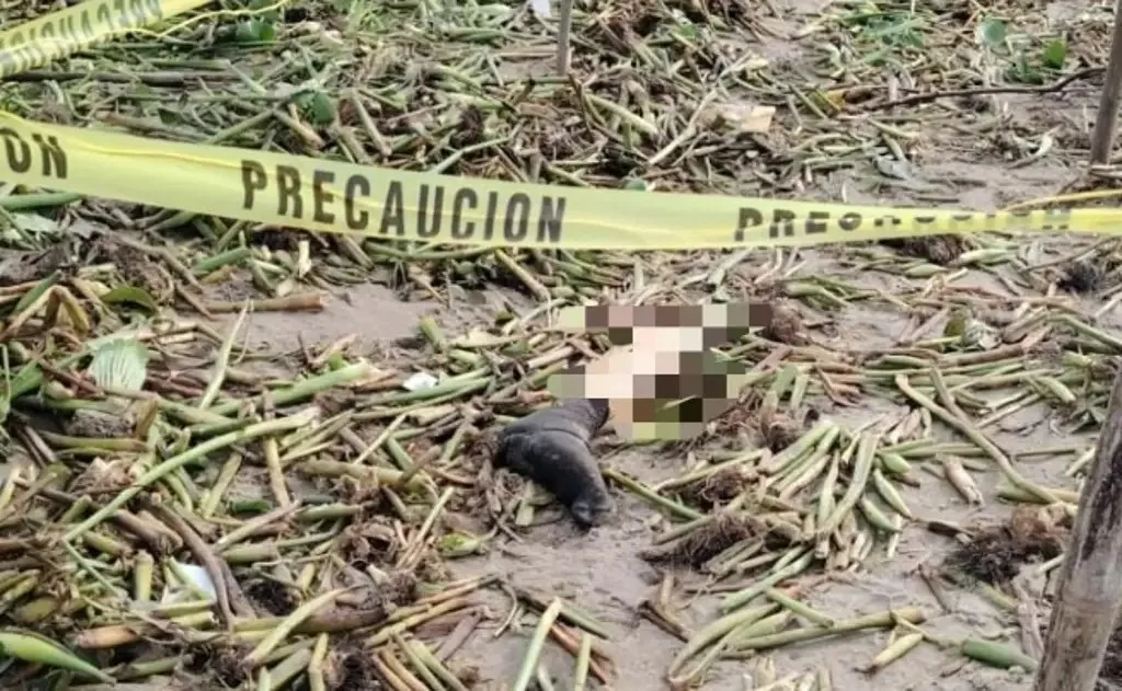 ALVARADO HALLAZGO jpg