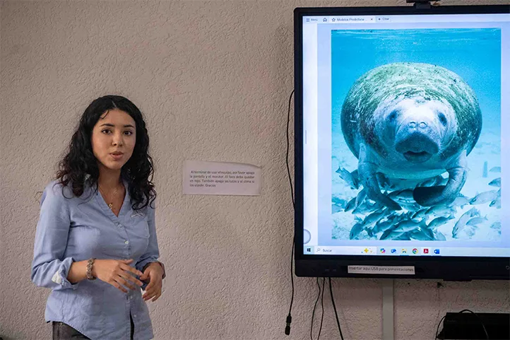 Alumna UV modela distribución del manatí en Sistema Lagunar de Alvarado MANATI jpg