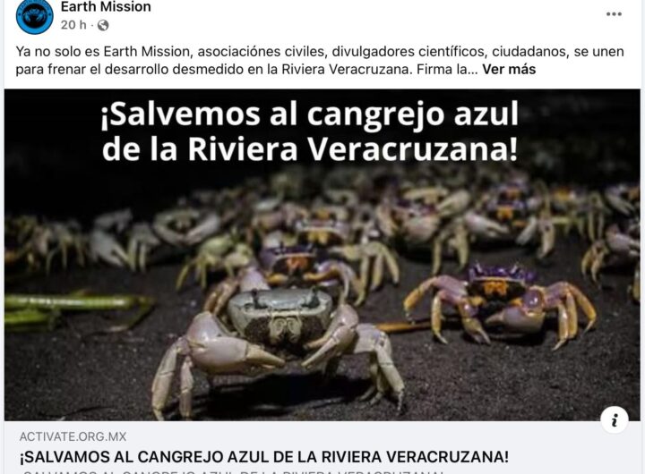 IMG 20250814 WA0000