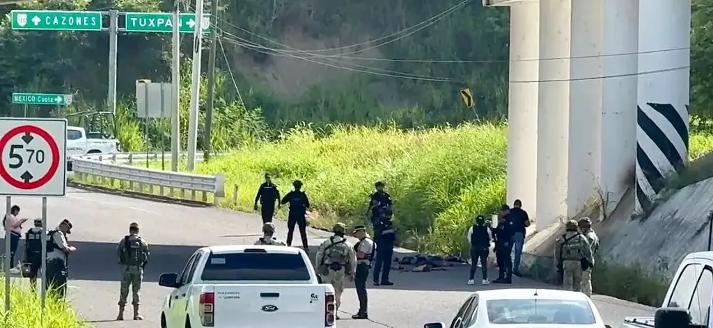Fiscalía investiga hallazgo de restos humanos en Papantla, Veracruz PENDIENTE jpeg