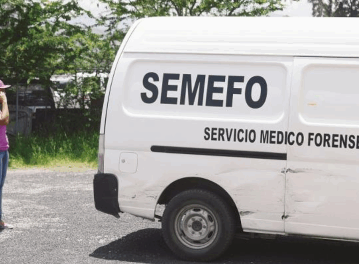 SEMEFO