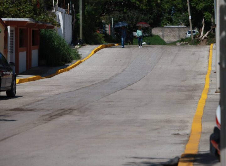 calle en anton lizardo n