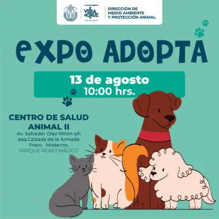 realizaran expo adopta en instalaciones de reino magico en veracruz 17541653460 430x430 jpg