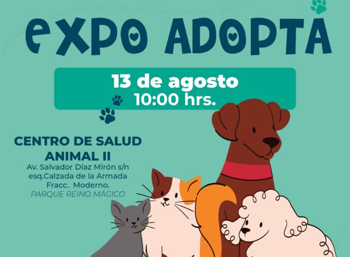 realizaran expo adopta en instalaciones de reino magico en veracruz 17541653460