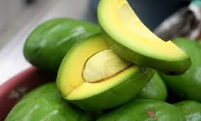 Tendría Veracruz Ley para la producción y comercialización del Aguacate AGUACATES