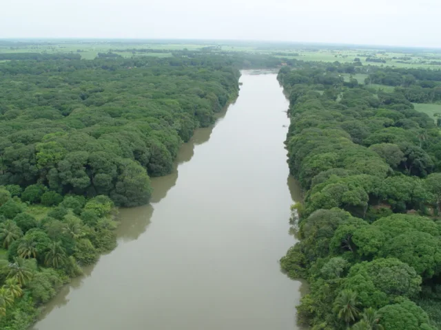CUENCA DEL PAPALOAPAN jpg