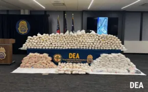 DECOMISO DE LA DEA 290x180 jpg