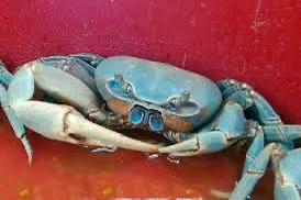 IMG 20250901 WA0004 jpg
