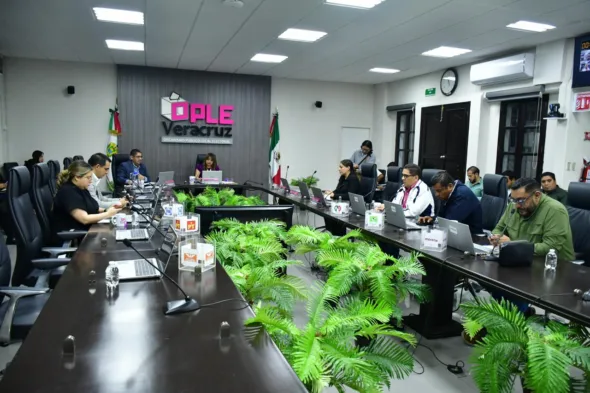 OPLE VERACRUZ 1 590x393 jpeg