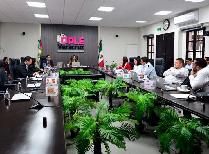 OPLE207