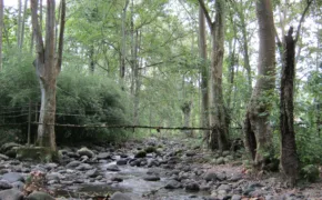 Rio Pixquiac 290x180 jpg