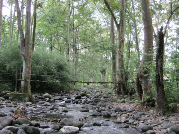 Rio Pixquiac 573x430 jpg