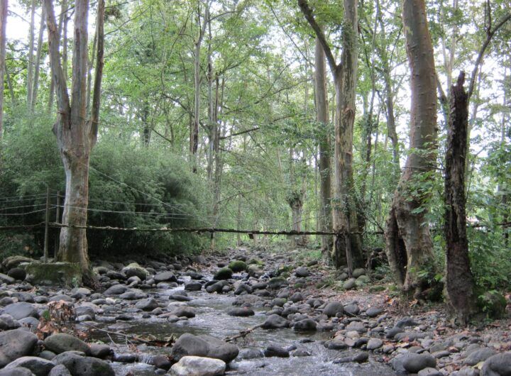 Rio Pixquiac