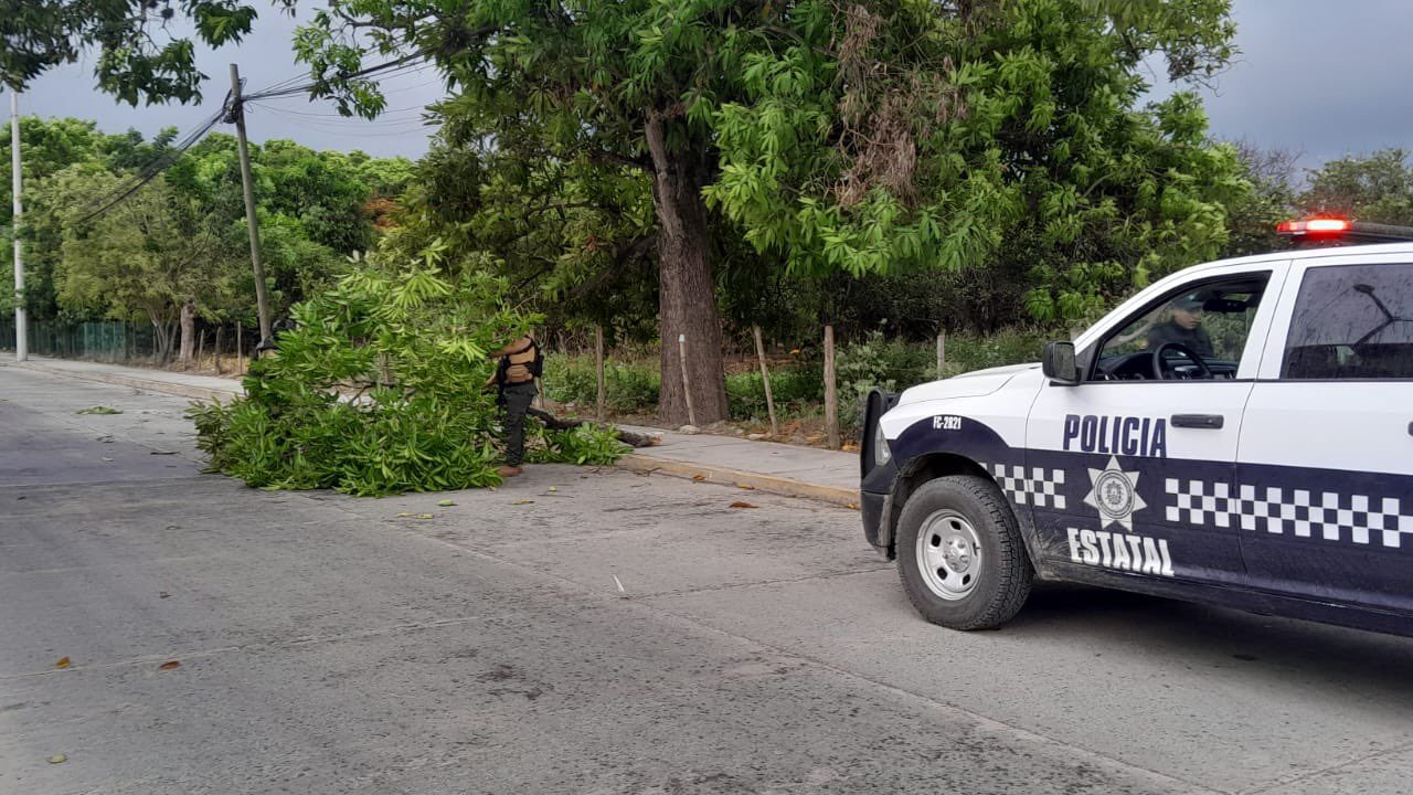 SSP Veracruz acepta responsabilidad en muerte de hermanos Contina en Totalco0