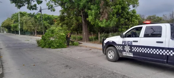 SSP Veracruz acepta responsabilidad en muerte de hermanos Contina en Totalco0 590x266 jpeg
