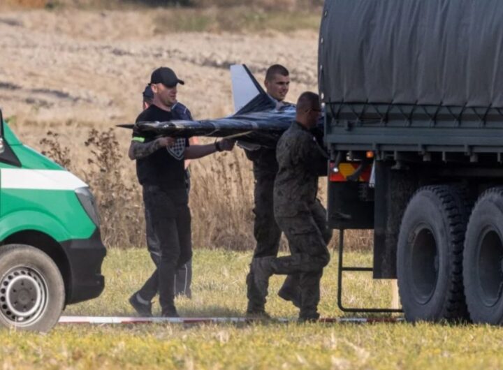 fuerzas polacas