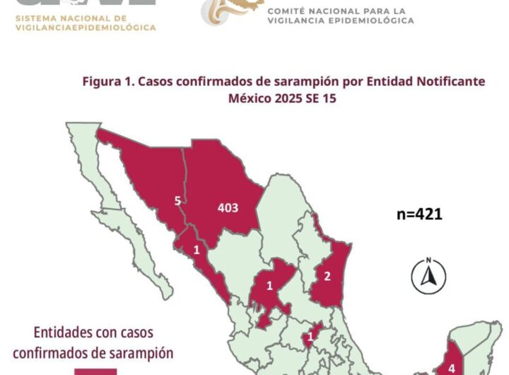 mapa de sarampion 081132 1017x1024 1