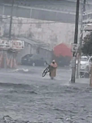 Inundaciones en Alvarado dejan colonias y localidades sin luz 324x430 png