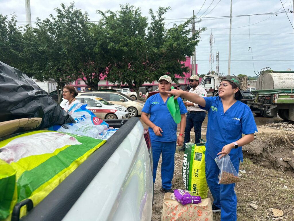 Envían desde Veracruz apoyo para animales afectados en Poza Rica animalitos