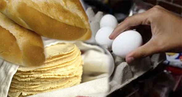 canasta basica bolillo tortilla huevo 590x314 jpg