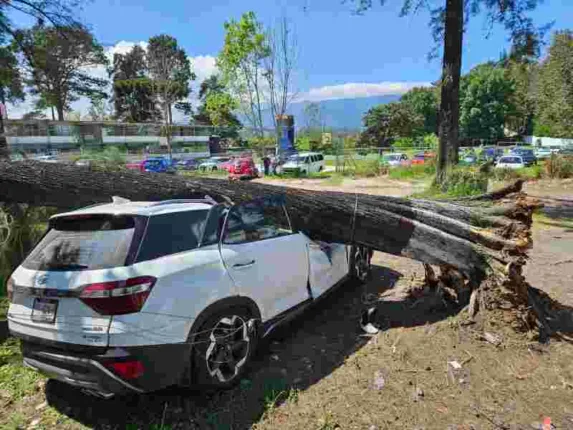Durante el frente frío número 11 que se presentó en el área conurbada de Veracruz-Boca del Río, así como en Xalapa hubo sólo algunos daños materiales danos por norte 13 573x430 jpg