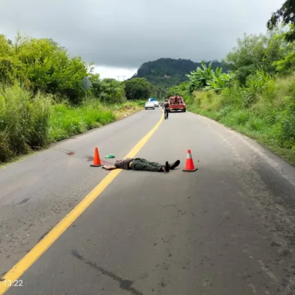 hombre fallece atropellado en carretera federal de san andrxs tuxtla