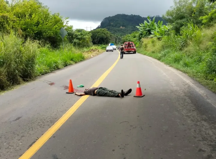 hombre fallece atropellado en carretera federal de san andrxs tuxtla
