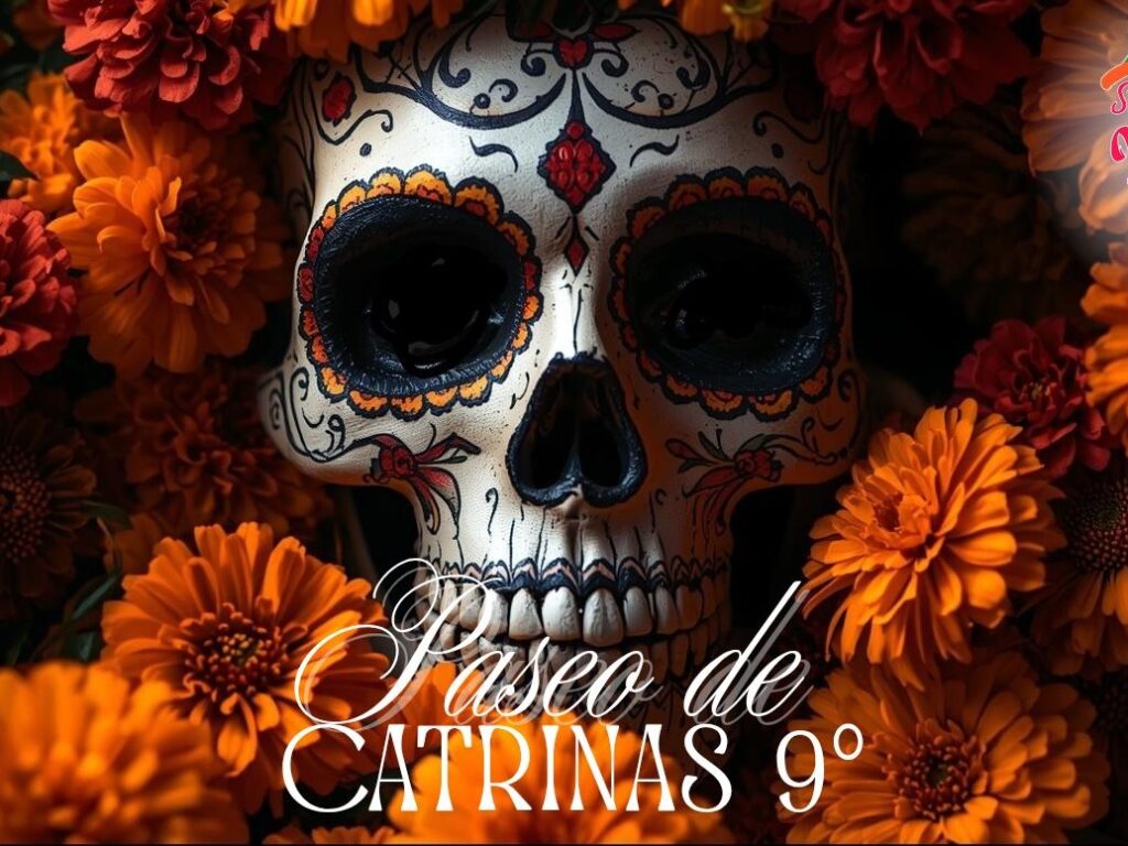 paseo de las catrinas sumando voluntades xalapa
