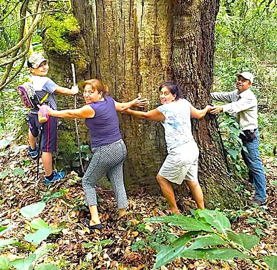 TLENKUALI, uno de los paraísos indígenas en Veracruz turismo jpg