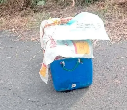 13ENCUENTRAN CADA VER EN UNA HIELERA EN ZONGOL1 495x430 jpg