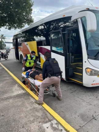 8e687ca4 fc46 468b b74e cfc4ddfd9313 323x430 jpeg